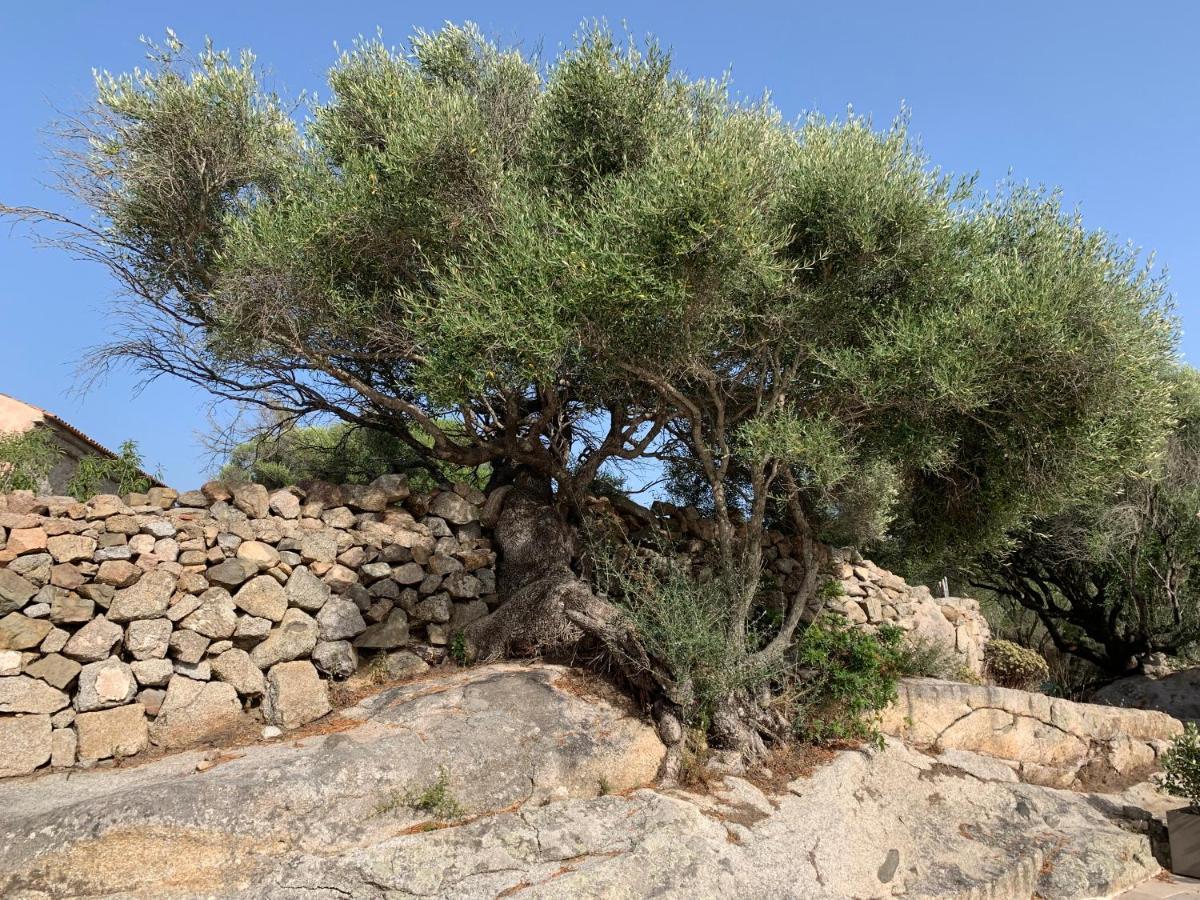 Stazzu Nuraghe Mannucciu Casa rural *