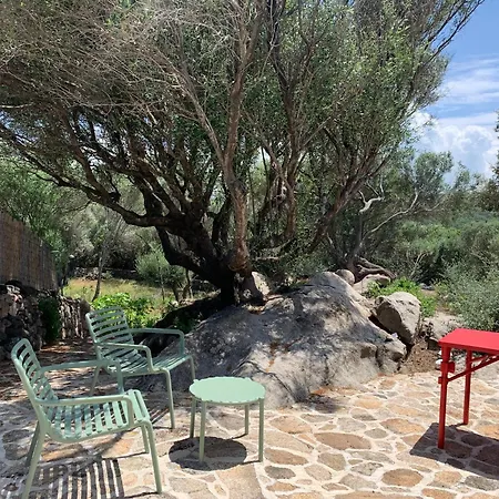 Stazzu Nuraghe Mannucciu Guest House Rena Majore Exterior photo
